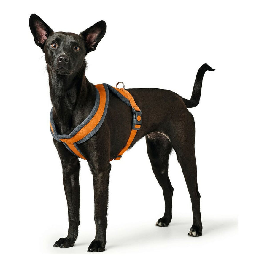 Pas za psa Hunter London Comfort Oranžna S/M 52-62 cm