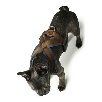 Pas za psa Hunter London Comfort 48-56 cm Rjava Velikost S/M