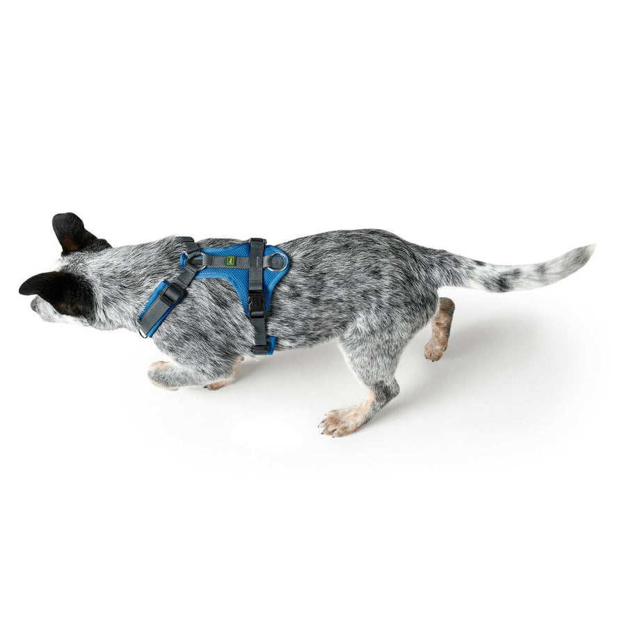 Pas za psa Hunter Maldon Up Modra 66-118 cm