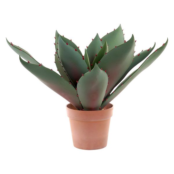 Dekorativna rastlina DKD Home Decor polipropilen EVA (52 x 52 x 52 cm)