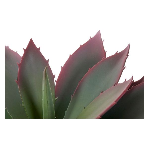 Dekorativna rastlina DKD Home Decor polipropilen EVA (45 x 45 x 55 cm)