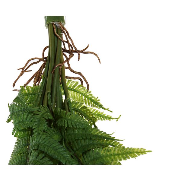 Dekorativna rastlina Dekodonia Plastika Železo (16 x 16 x 118 cm)
