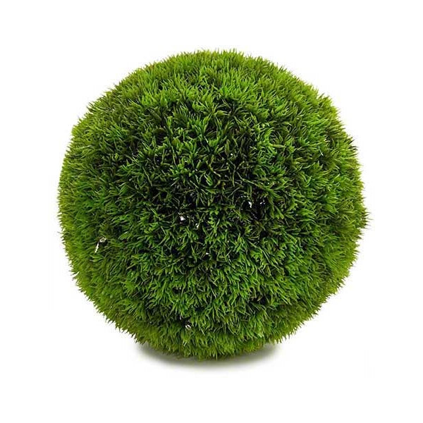 Dekorativna rastlina Zelena Plastika (22 x 22 x 22 cm)