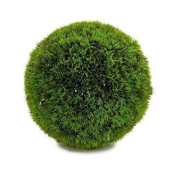 Dekorativna rastlina Sferă Zelena Plastika (38 x 38 x 38 cm)
